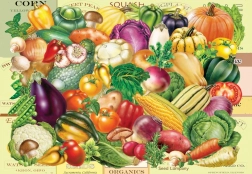 Puzzle Il tesoro del giardiniere 1000 pezzi