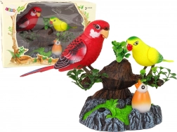 Pappagalli canori mobili sull'albero colorato