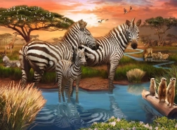 Puzzle Zebre 500 pezzi