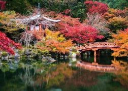 Puzzle 1000 pezzi – giardino Daigo-ji, Kyoto, Giappone