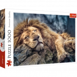 Puzzle 1000 pezzi Leone Addormentato