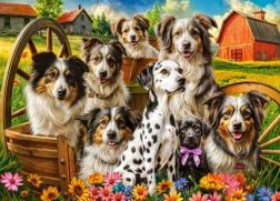 Puzzle cani felici in campagna 260 pezzi