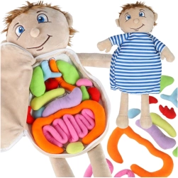 Bambola anatomica in peluche per imparare il corpo umano