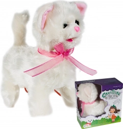 Gattino al guinzaglio con telecomando