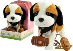 San Bernardo Interattivo al Guinzaglio con Cuccia