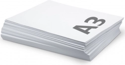 Cartoncini scolastici A3 180 g/m² – confezione da 10 pezzi