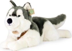 Cane Husky in Peluche 60 cm ECO FRIENDLY