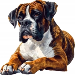 Pittura diamantata boxer 30 × 40 cm
