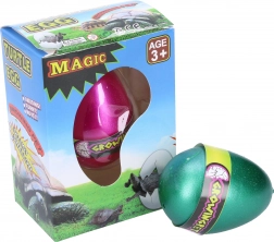 Tartaruga che cresce nell'uovo