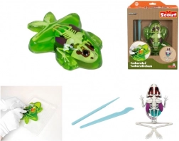 Esplora la dissezione della rana – kit educativo con slime