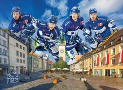 Puzzle STRAUBING TIGERS 1000 pezzi di EUROGRAPHICS