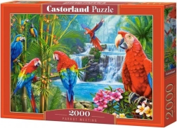 Puzzle 2000 pezzi Parrot Meeting