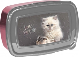 Paso lunch box con gattino 750 ml