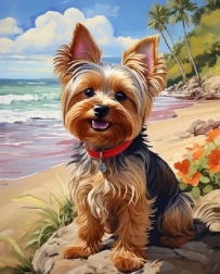 Norimpex Dipingi con i numeri Yorkshire sulla spiaggia 40 × 50 cm