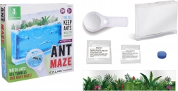 Fattoria di formiche con gel nutrizionale