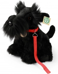 Rappa Cane di peluche