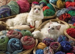 Puzzle Ragdoll 1000 pezzi Cobble Hill