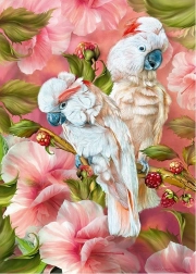 CHERRY PAZZI puzzle cacatua – spiriti dei tropici, 1000 pezzi