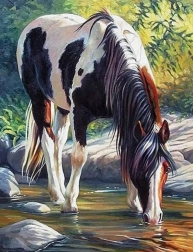 Pittura a diamante Cavallo nel fiume 30x40 cm