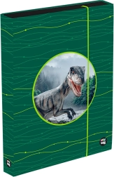 Scatola portaquaderni A4 Jumbo OXY Sherpy verde