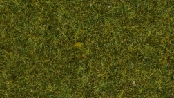 Erba statica Noch prateria selvaggia, 9 mm