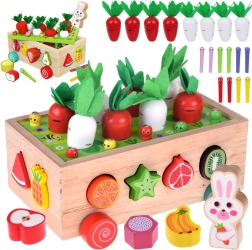Carrellino da giardino Montessori in legno con raccolta delle carote, forme e vermicelli magnetici