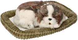 Adottami cucciolo Shih Tzu che respira