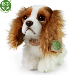 Cane di peluche King Charles Spaniel 25 cm