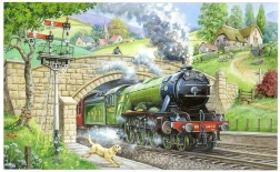 Puzzle HOP Osservazione treni 250 pezzi