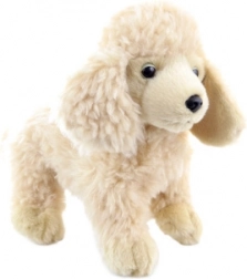 Barboncino di peluche 24 cm