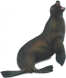 Collecta leone marino