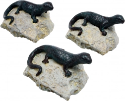 Decorazione lucertola - set di 3 pezzi