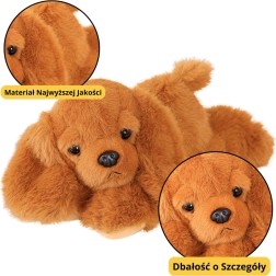 Cane di peluche Cocker Spaniel con zampe ponderate marrone 30cm