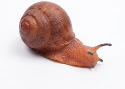 Lumaca in gomma 13 cm
