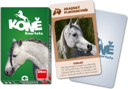 Quartetto Cavalli DINO