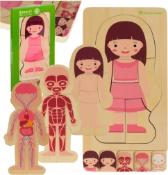 Puzzle anatomico a strati in legno – bambina Montessori