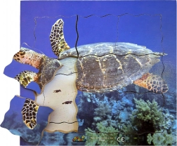 Puzzle stratificato in legno tartaruga - 19 pezzi