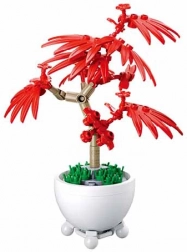 Sluban pianta tropicale in vaso – acero bonsai rosso