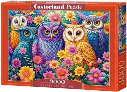 Puzzle Castorland Incontro di gufi tra fiori 3000 pezzi