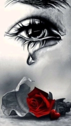 Pittura diamantata Pianto sulla rosa 30 × 40 cm