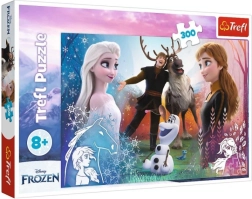 Puzzle 300 pezzi – tempo magico DISNEY FROZEN 2
