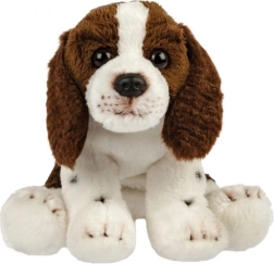 Cane di peluche (spaniel)