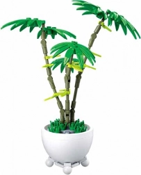 Sluban fiore in vaso – palma verde