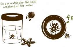 Navir Explora grande bicchiere per l'osservazione degli insetti