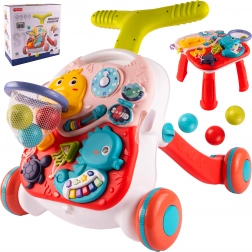 Girello 3 in 1 con basket Dino