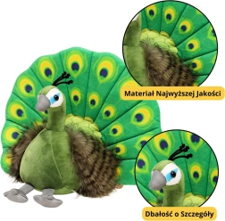 Giocattolo di peluche Pavone elegante verde 30 cm