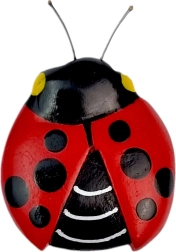 Magnete in legno coccinella 2Kids Toys