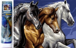 Pittura diamantata Trio Selvaggio 30 × 40 cm