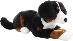 Cane da montagna bernese di peluche 65 cm