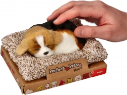 Beagle che abbaia sul lettino